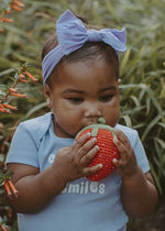 Friendly Plush Strawberry Rattle