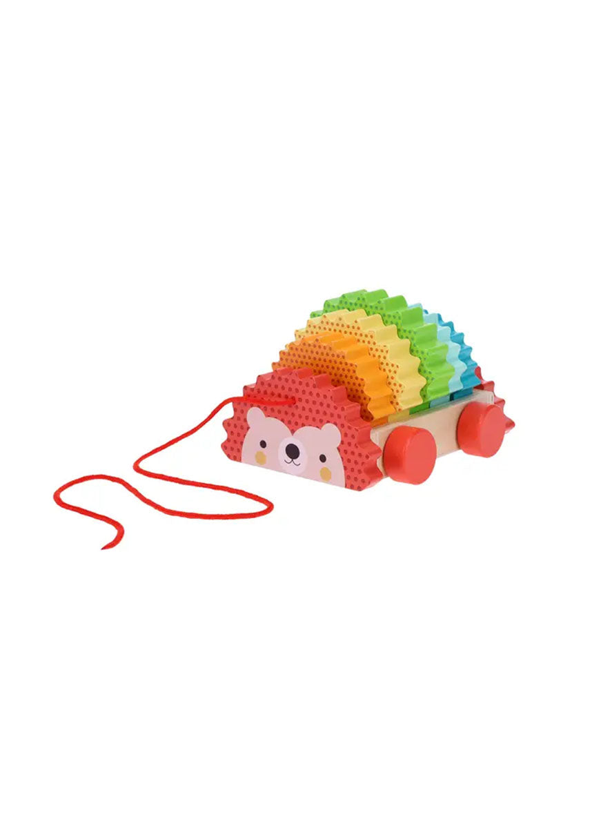 Rainbow Hedgehog Wooden Pull Toy
