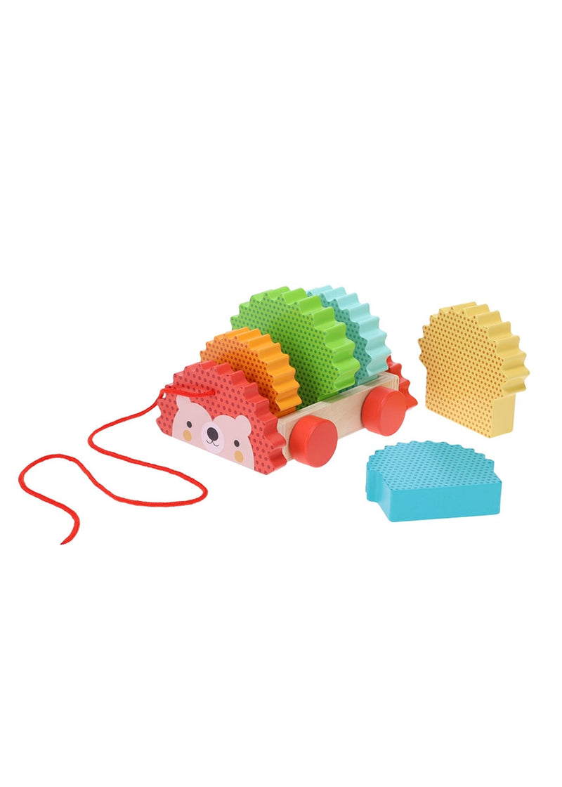 Rainbow Hedgehog Wooden Pull Toy