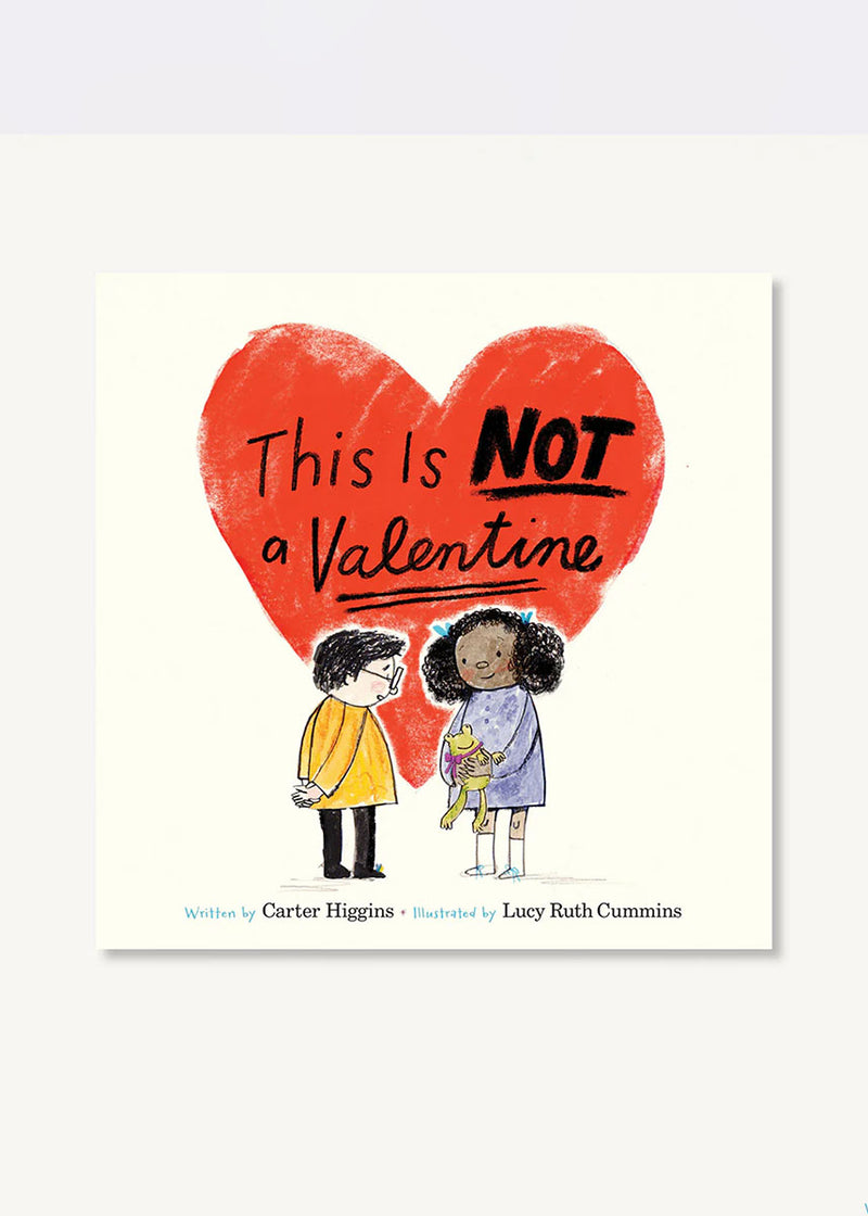 This Is Not A Valentine Book