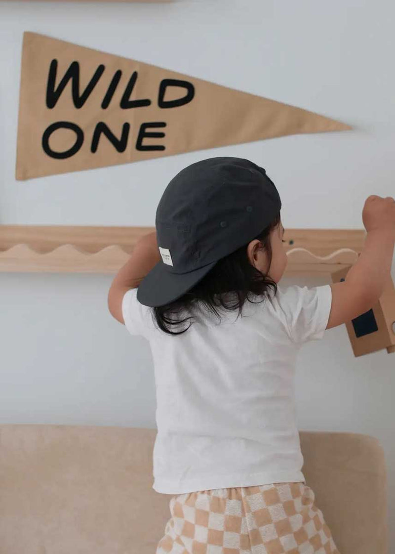 Wild One Pennant