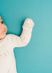 Bamboo Fold-Over Zipper Footie - Silly Goose