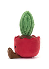 Amuseables Kerrii Cactus