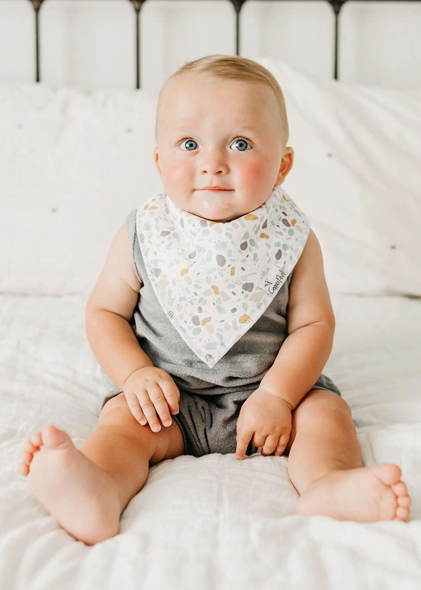 Rex Bandana Bib Set - 4-Pack