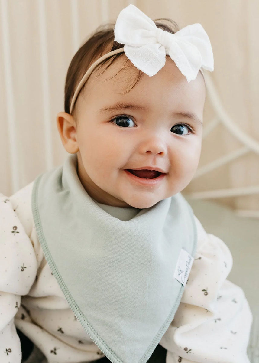 Rex Bandana Bib Set - 4-Pack