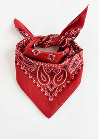 Embroidered Bandana - Terracotta Paisley