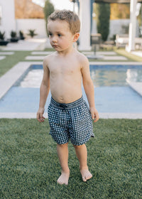 Navy Gingham Swim Shorts