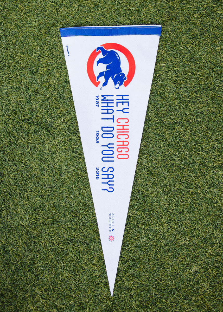 Hey Chicago What Do You Say Pennant