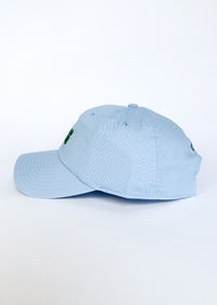 Chi Dad Hat - Blue & Green