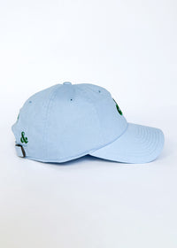 Chi Dad Hat - Blue & Green