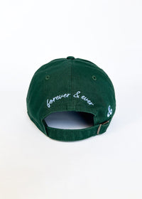 Chicago Arch Dad Hat - Green & Blue