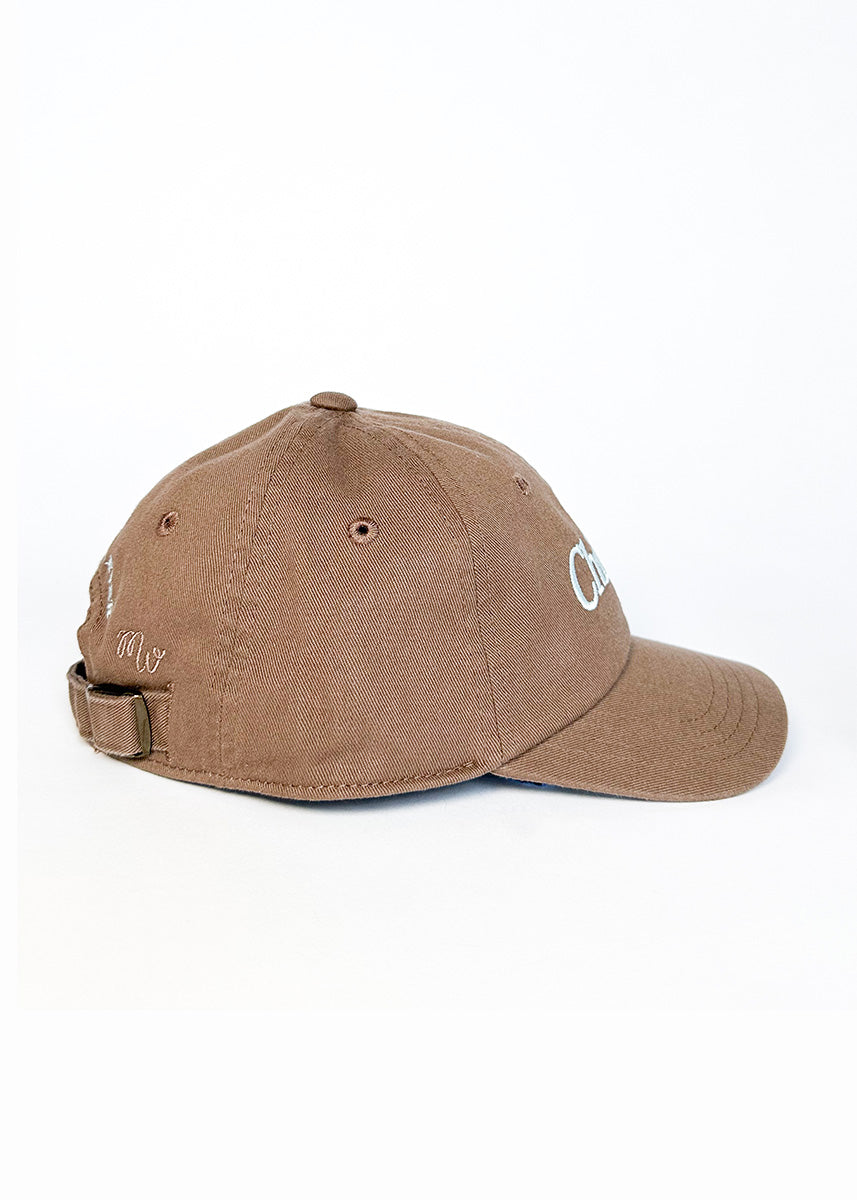 Toddler Chicago. Dad Hat - Espresso & Blue
