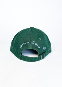 Toddler Chicago Arch Dad Hat - Green & Blue