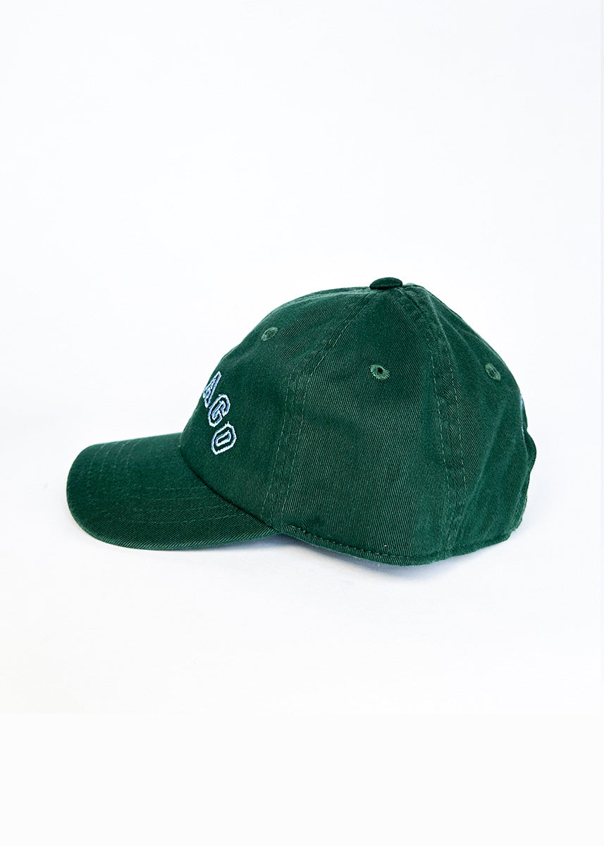 Toddler Chicago Arch Dad Hat - Green & Blue
