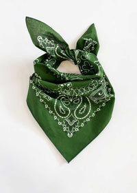 Embroidered Bandana - Hunter Paisley