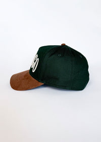 Chicago Puff Baseball Cap - Green & Brown Suede