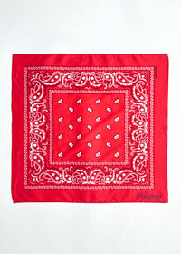 Chicago Stitch Embroidered Bandana - Windy City Red