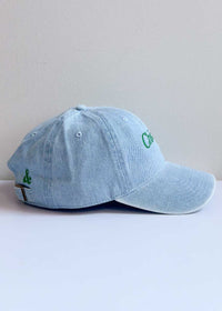 Chicago. Dad Hat - Denim & Green