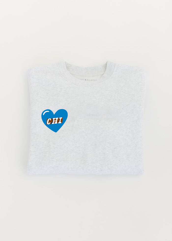 Pre-Order: Lurie Children's Hospital Patches Crewneck - Ash Grey
