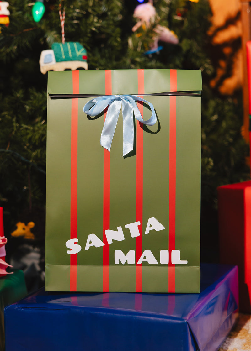 Mini Holiday Packaging  - 3 Pack Large