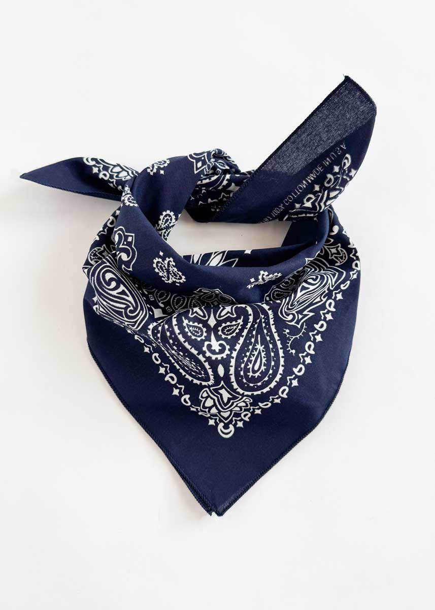 Embroidered Bandana - Navy Paisley