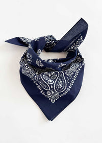 Embroidered Bandana - Navy Paisley