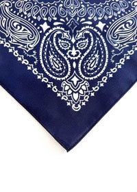 Embroidered Bandana - Navy Paisley