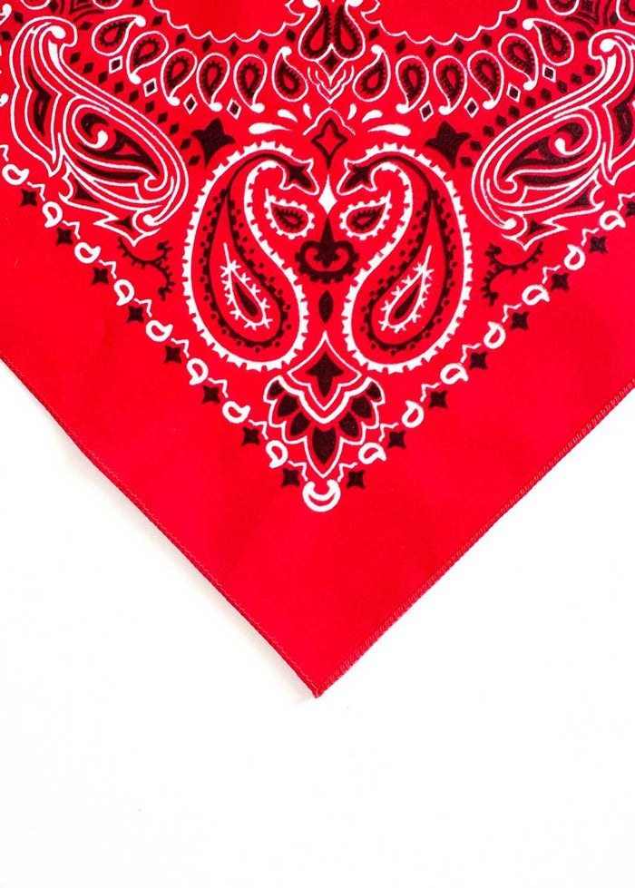 Embroidered Bandana - Red Paisley