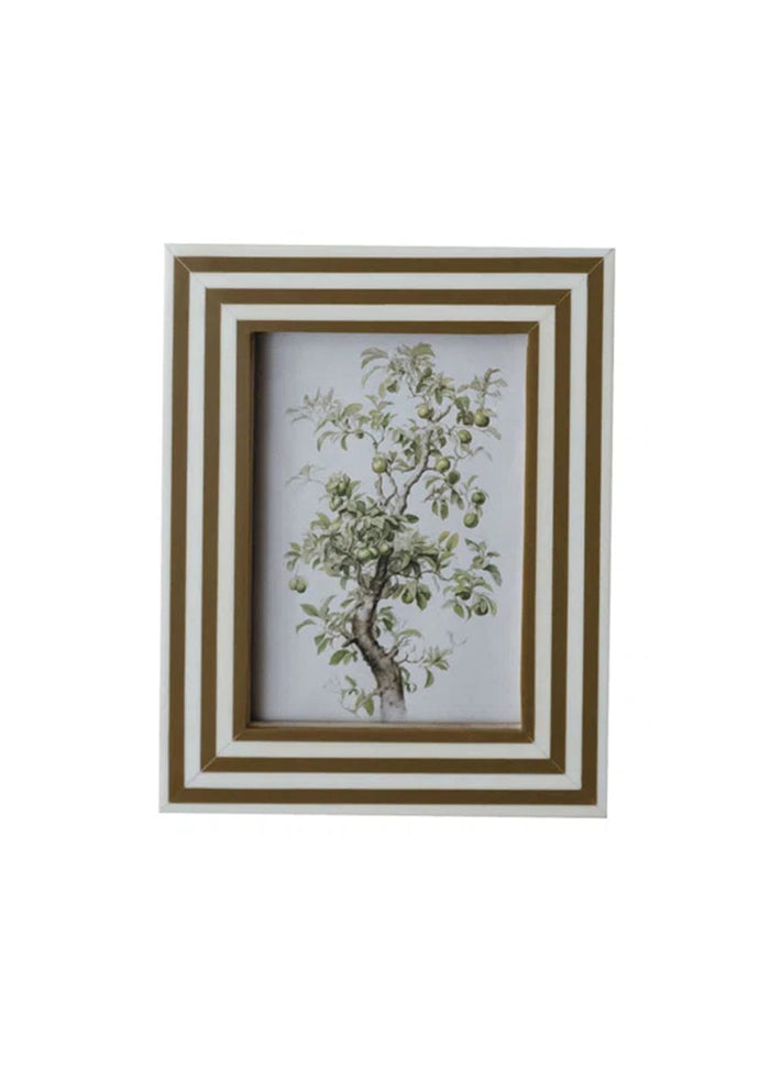 Striped Frame - Olive