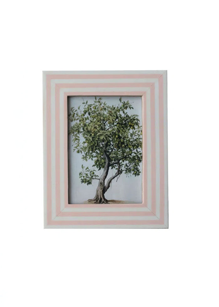 Striped Frame - Bubblegum