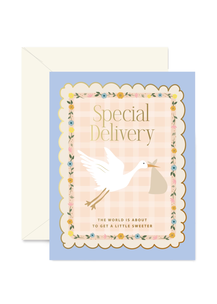 Stork Special Delivery Card