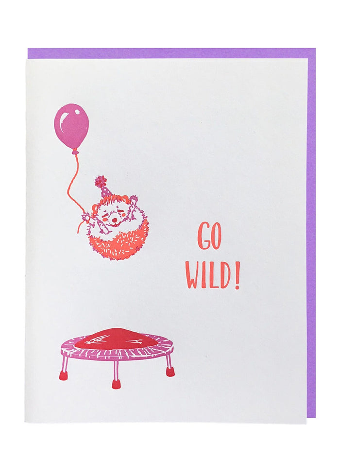 Hedgehog On A Trampoline Birthday Card