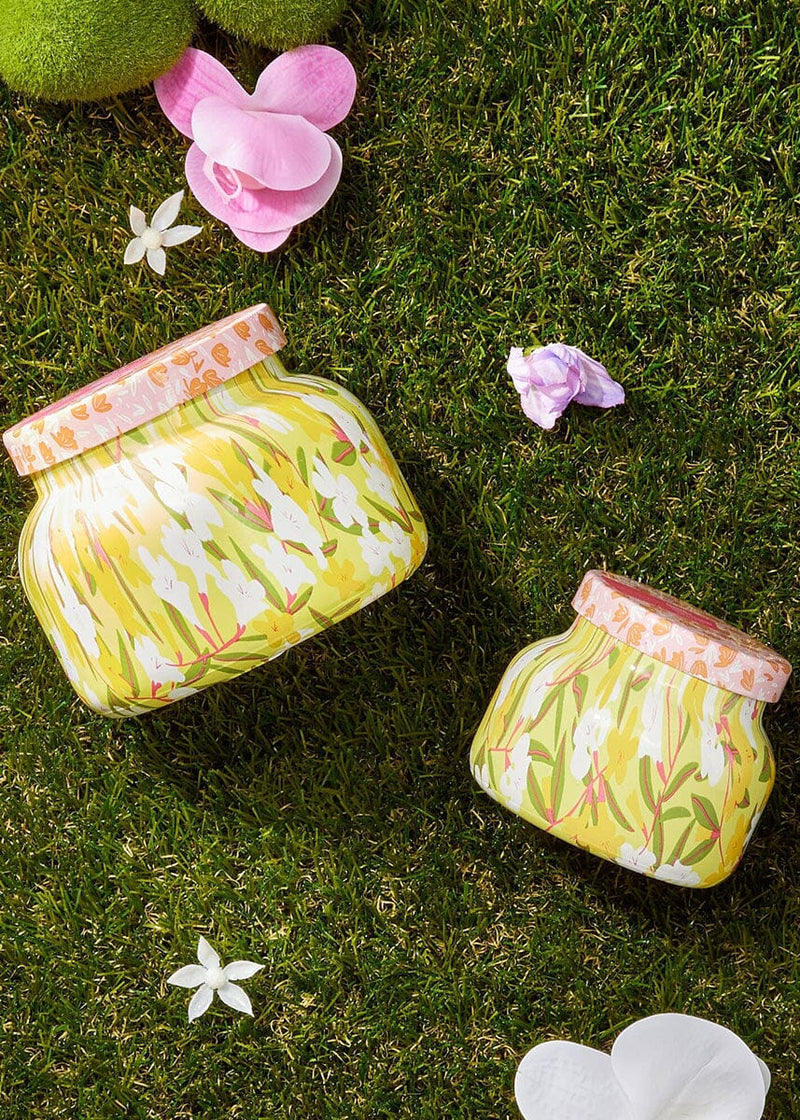 Aloha Orchid Pattern Play Signature Jar Candle - 19oz