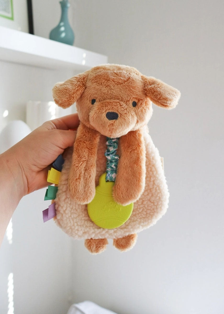 Itzy Friends Lovey™ Plush - Puppy