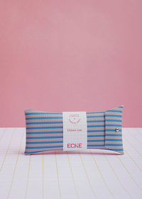 Blue And Pink Stripes Glasses Case
