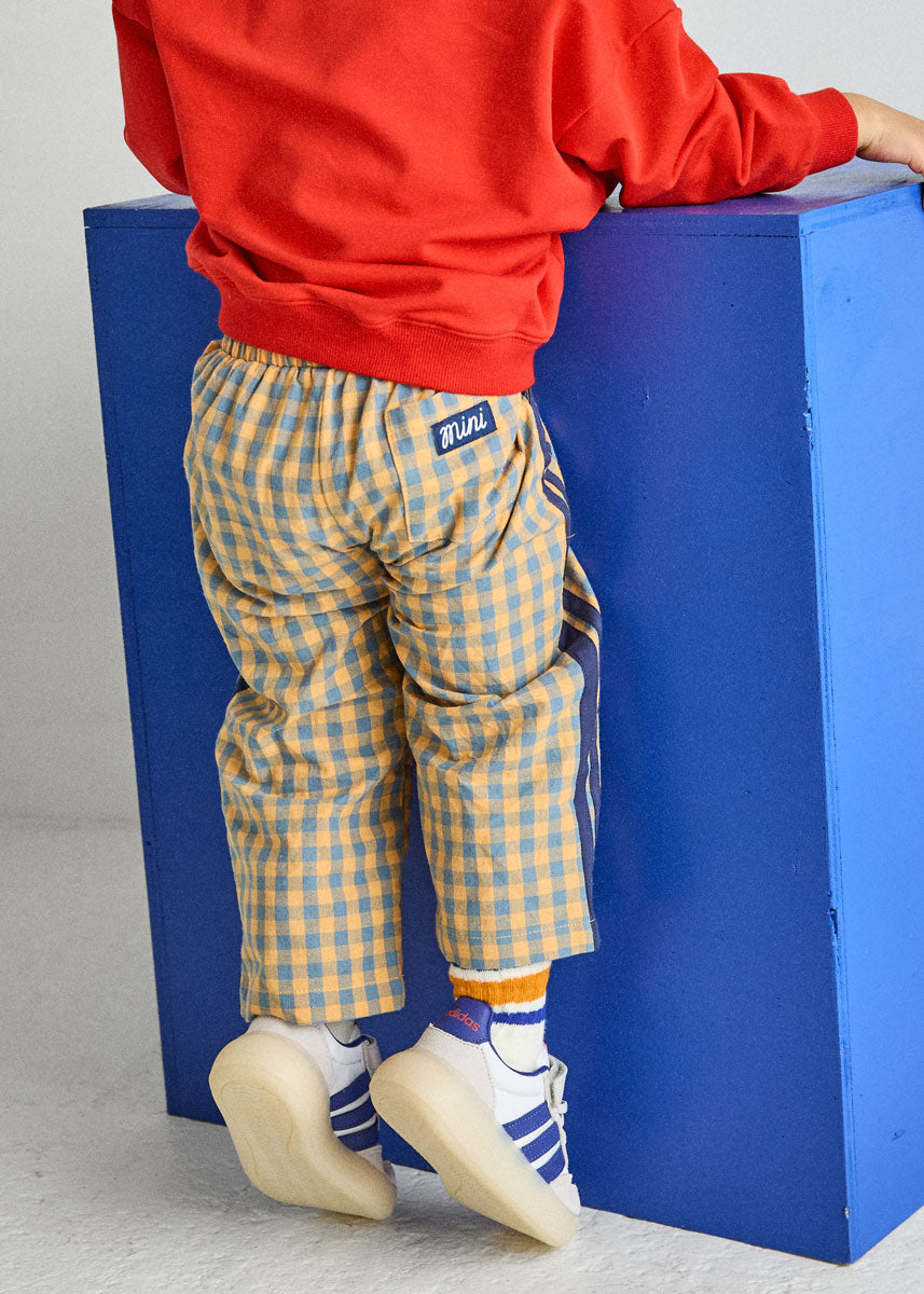 Gingham Stripe Pant - Blue & Orange