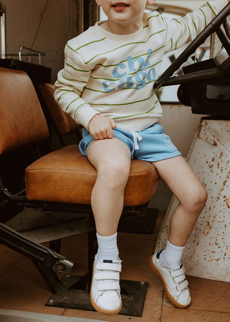 Chicago Stripe Set - Green & Blue