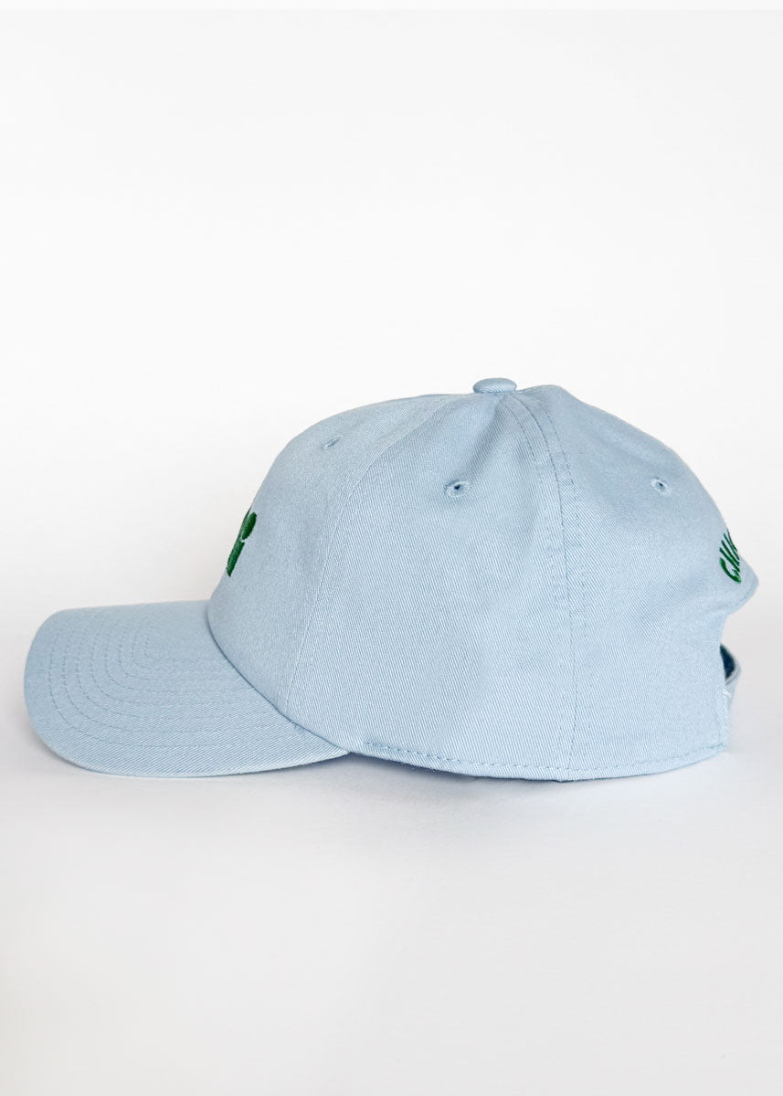Chi Dad Hat - Blue & Green