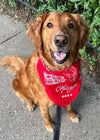 Chicago Doggie Bandana