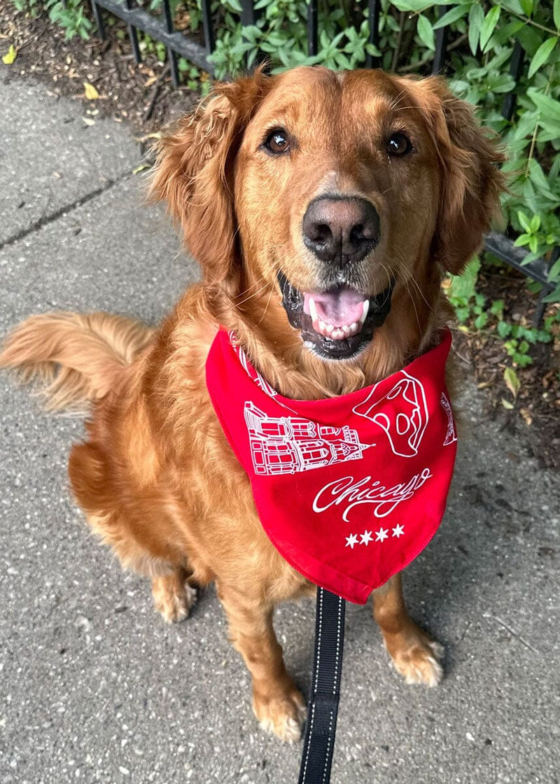 Chicago Doggie Bandana