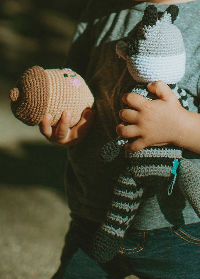 Friendly Plush Acorn