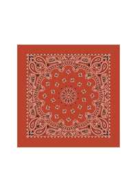 Embroidered Bandana - Terracotta Paisley
