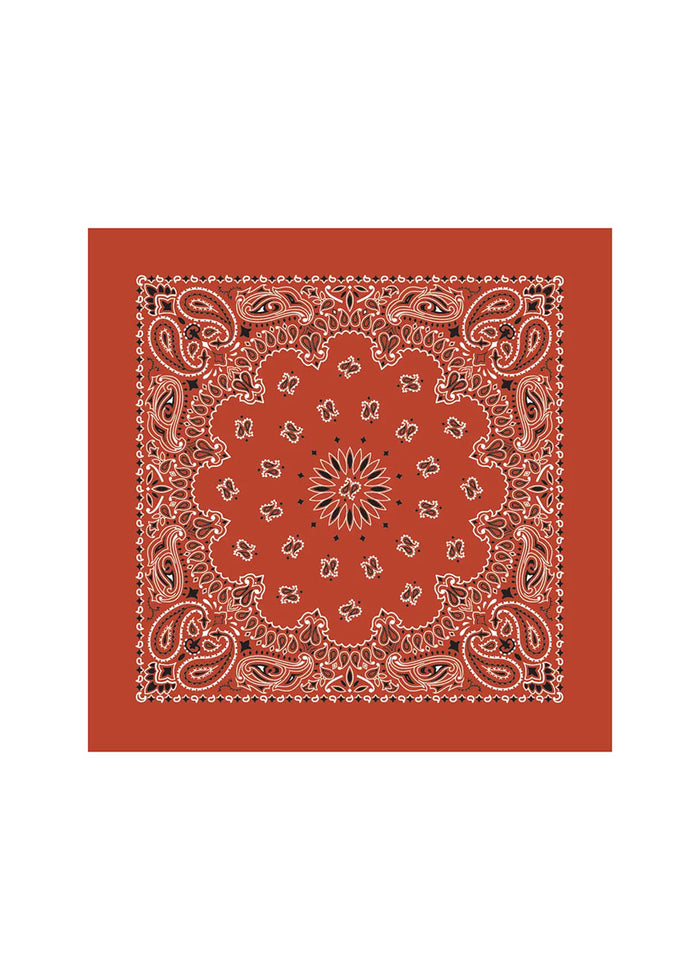 Embroidered Bandana - Terracotta Paisley
