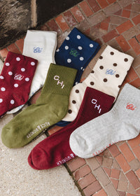 Chi Embroidered Polka Dot Trouser Sock - Navy