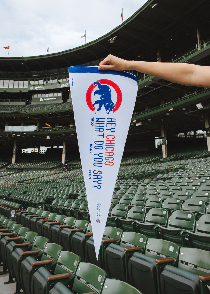 Hey Chicago What Do You Say Pennant