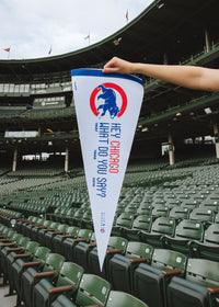 Hey Chicago What Do You Say Pennant