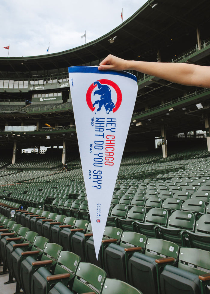 Hey Chicago What Do You Say Pennant