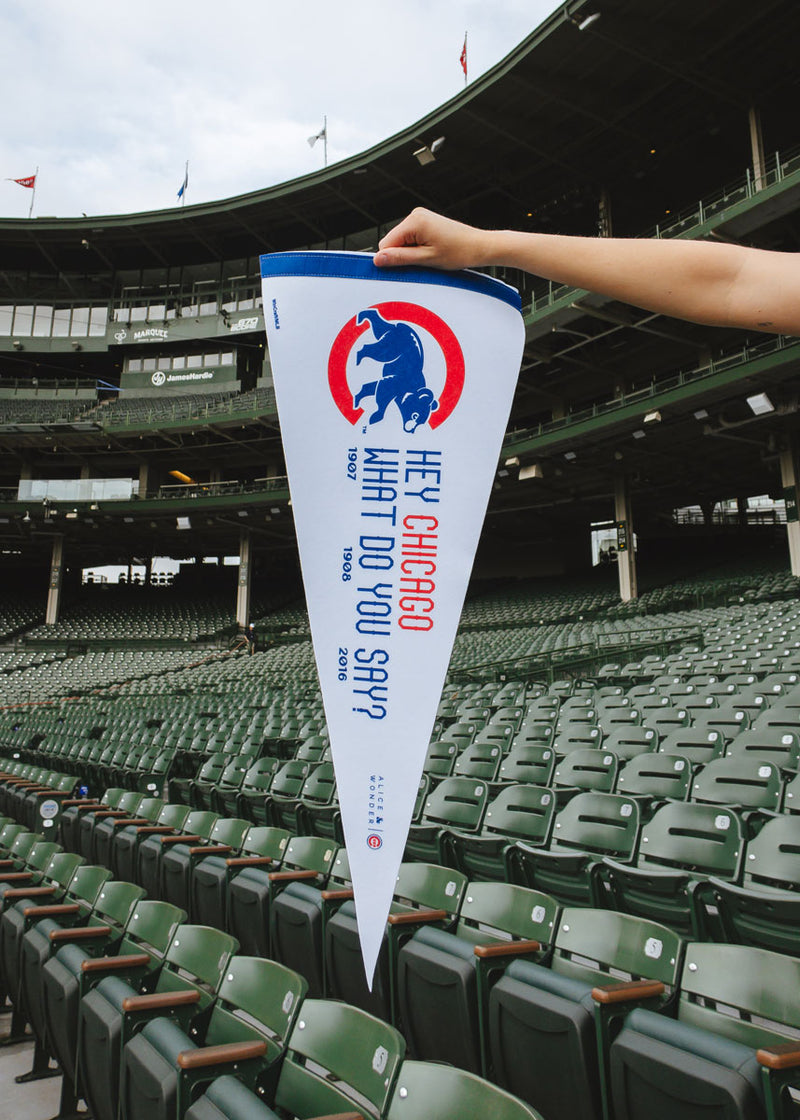 Hey Chicago What Do You Say Pennant