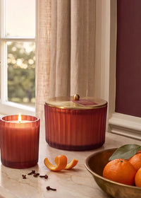 Pomander Clove 3 Wick Candle - 18oz