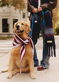 MAD HTR Triangle Scarf - Burgundy & Pink